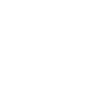 logo of Delan Studio